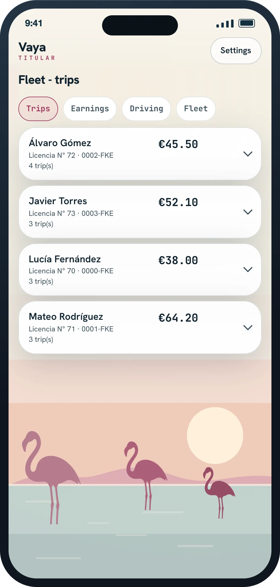 Vaya - owner view, fleet trips